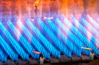 Ashburton gas fired boilers